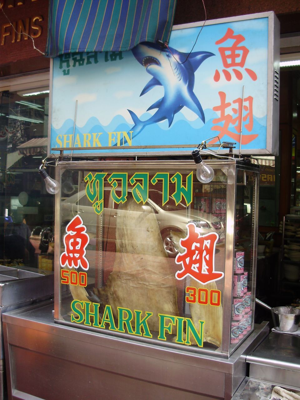 [P1250088.jpg]