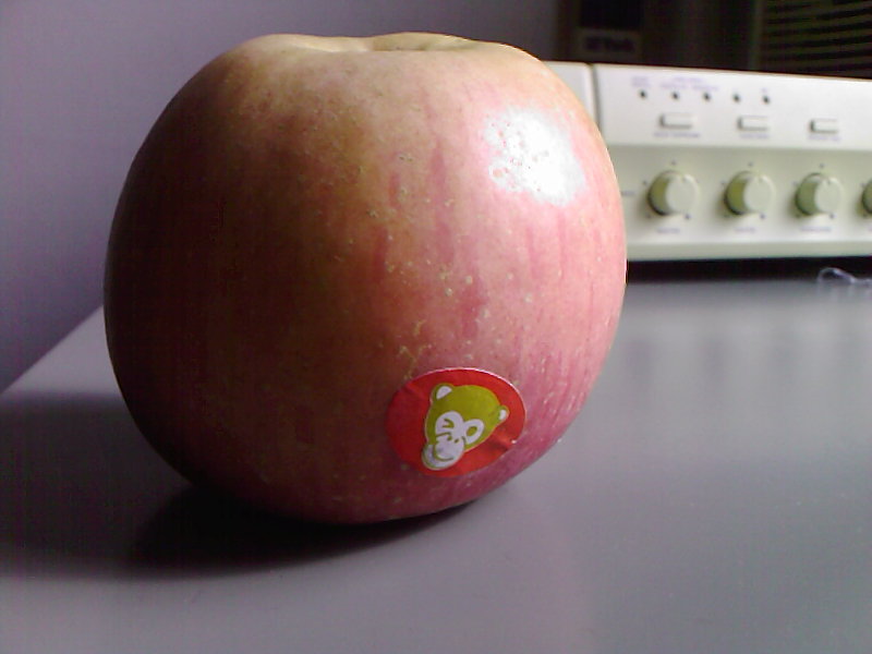 [Photo-0080.jpg]