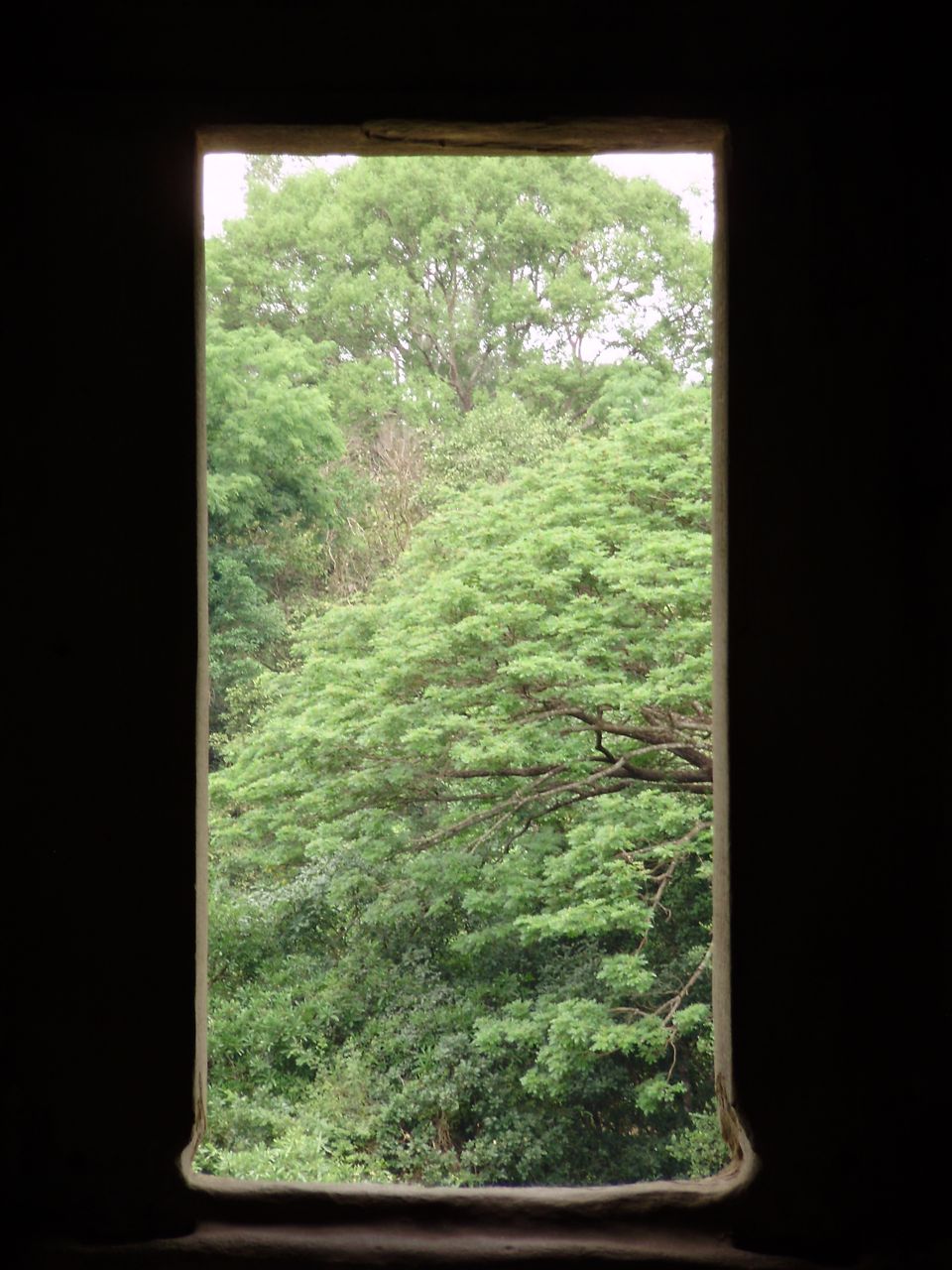 [P4100150.jpg]