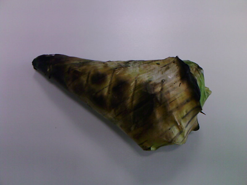 [Photo-0181.jpg]