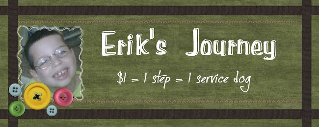 Erik's Journey