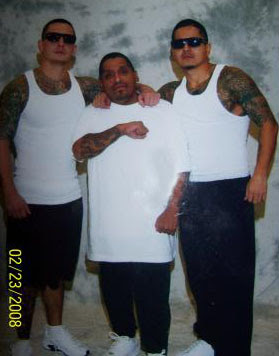 a member of these gangs