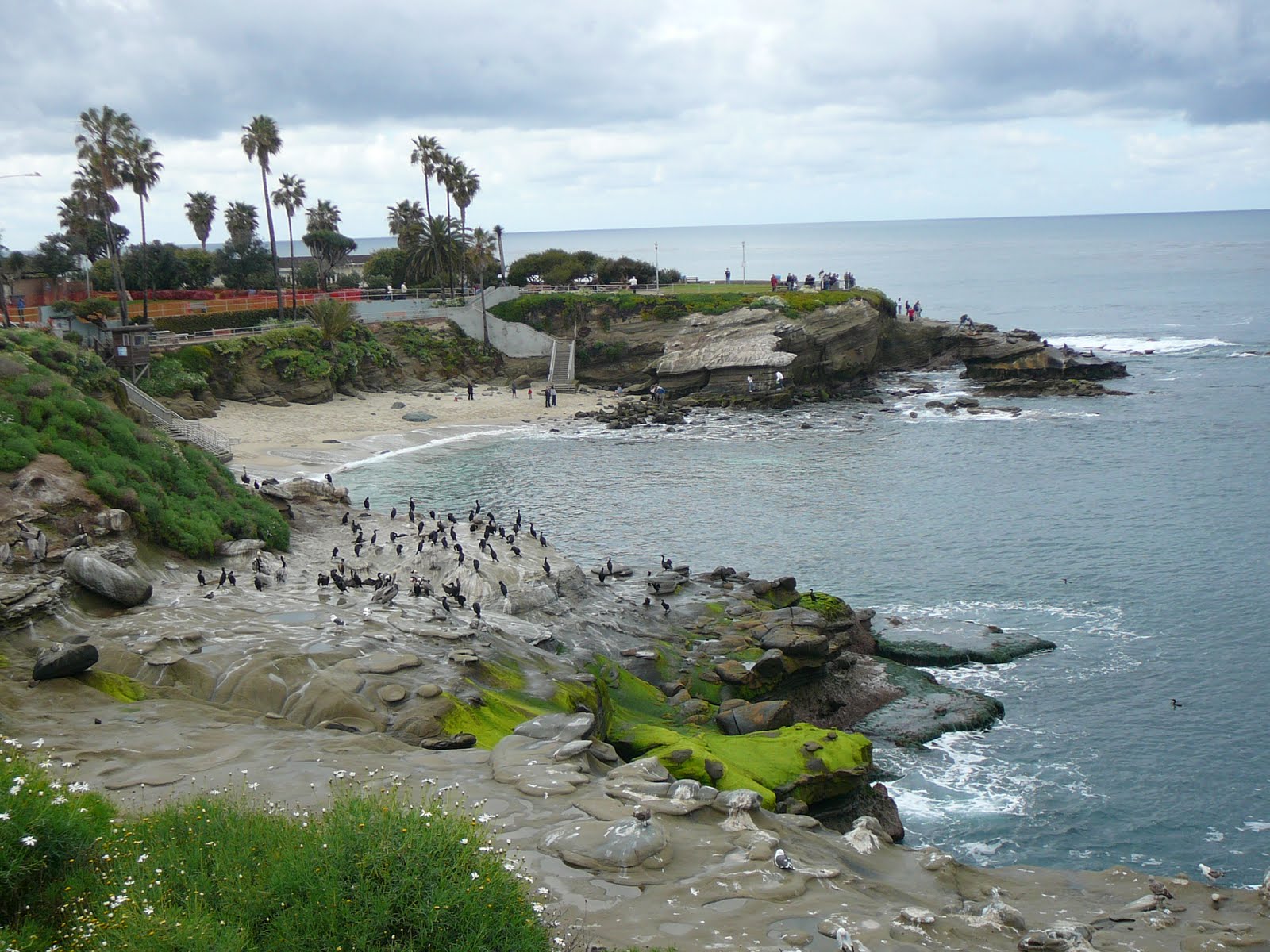 [Crazy+hair+day+036.jpg]