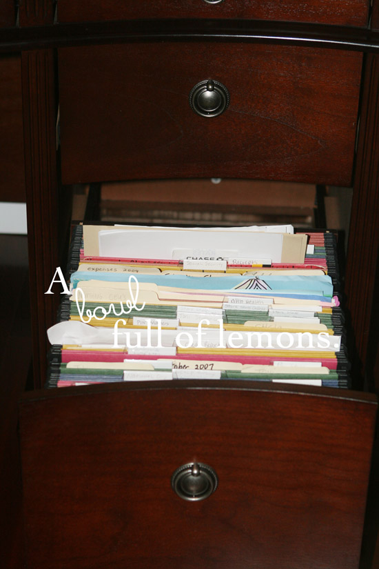 Organizing My Filing Cabinet A Bowl Full Of Lemons
