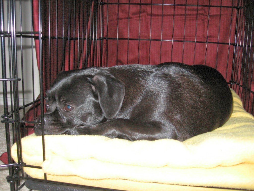[Coco+12-20-07+001.jpg]