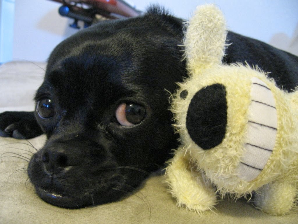 [CoCo+4-13-08+022.jpg]