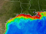 Gulf Of Mexico Dead Zone and Others