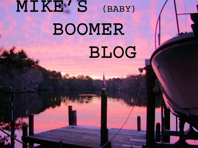 MIKE'S BOOMER BLOG