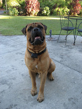 Fritz\