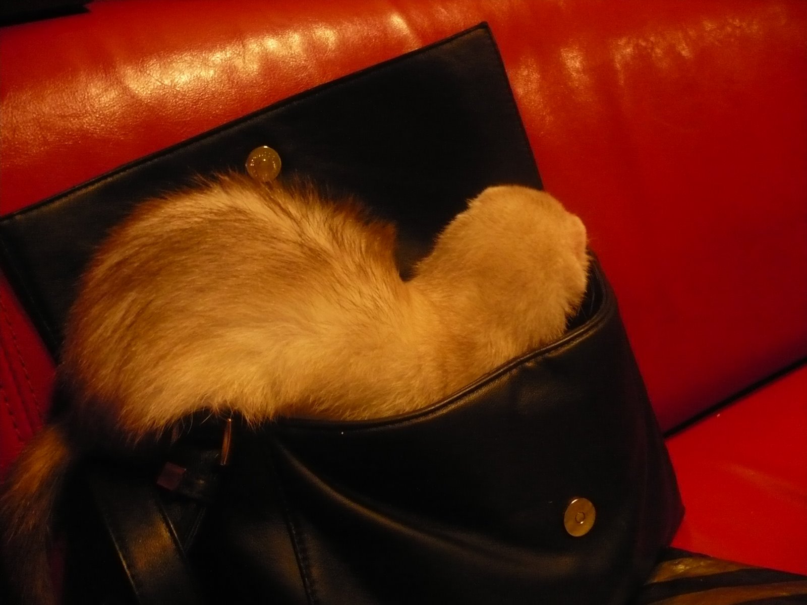 [P1020973dusja.JPG]