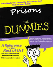 Prison For Dummies