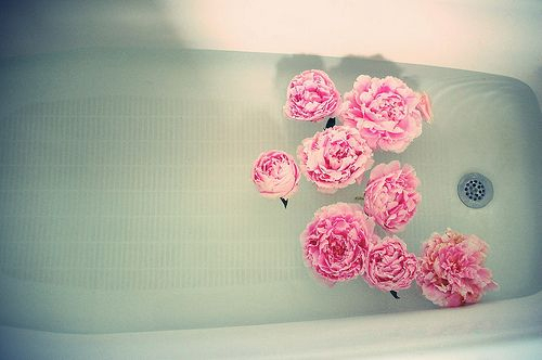 http://4.bp.blogspot.com/_DKCvwpYNL0k/TNYzgPIWhsI/AAAAAAAAEkc/WORBPVgNqHg/s1600/tumblr_lbahjkETjX1qa2yuso1_500_large.jpg