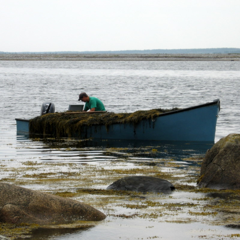 Skiff DinghyWhat is the difference???? Dinghy Anarchy Sailing