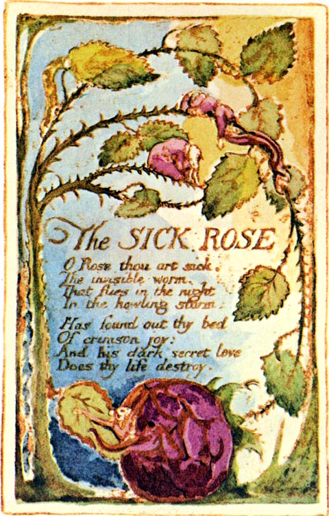 William Blakes The Sick Rose William Blakes The Sick Rose