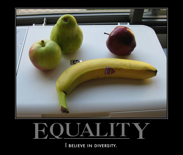 [equality.jpg]