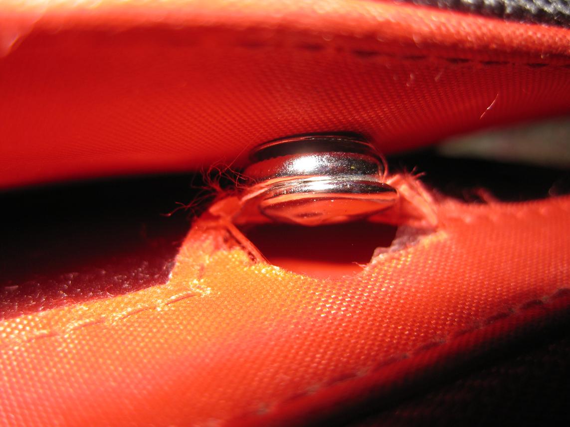[IMG_4129.JPG]