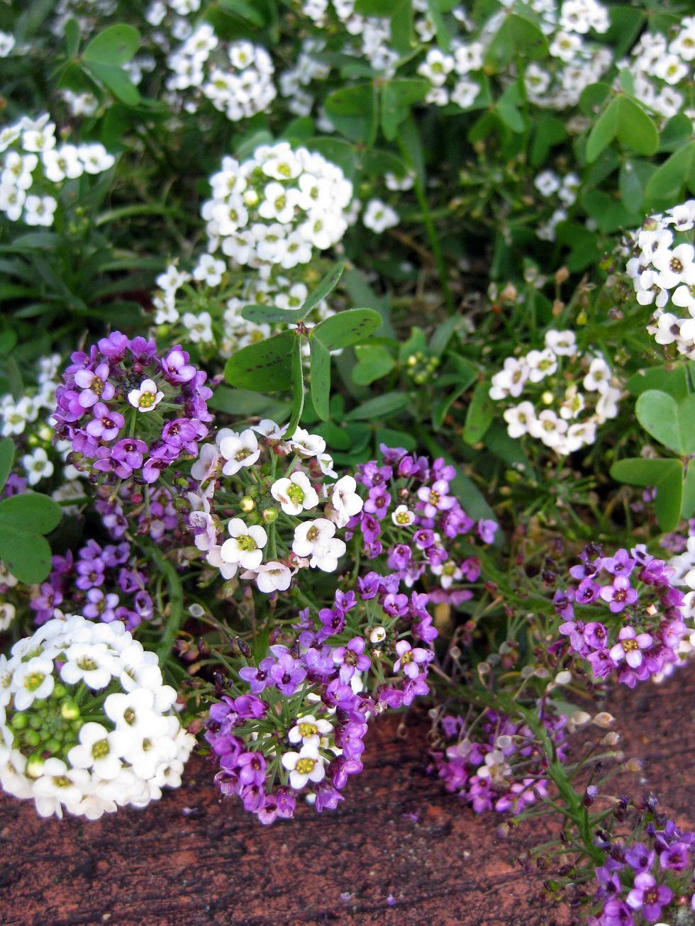 [IMG_7653.JPG]