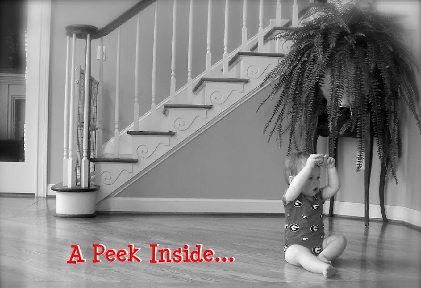 A Peek Inside...