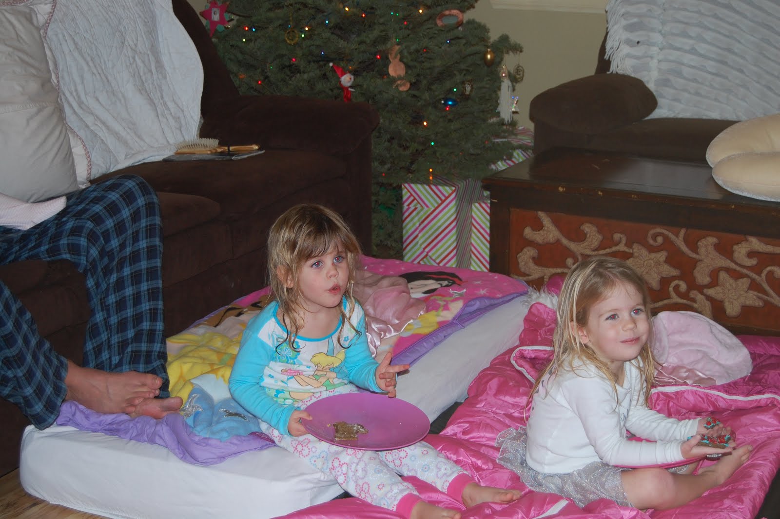 slumber under tree three