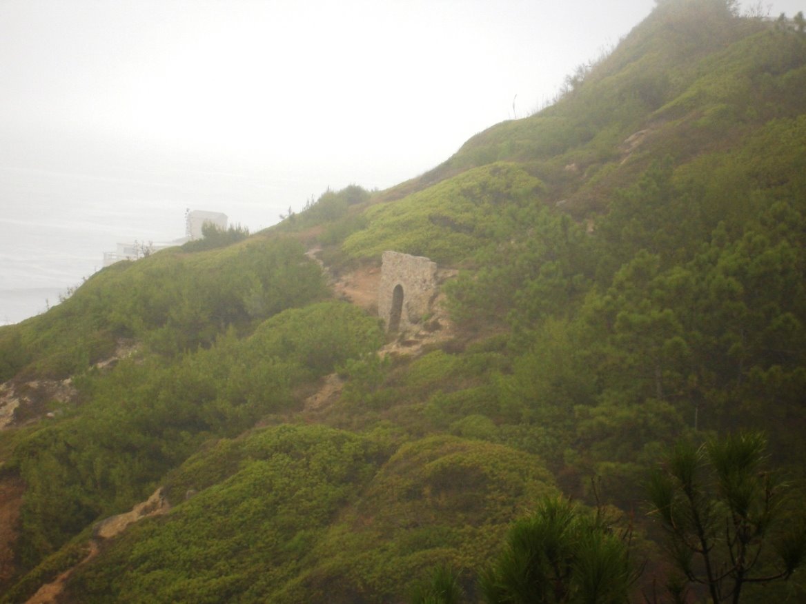 [DSC01707.JPG]