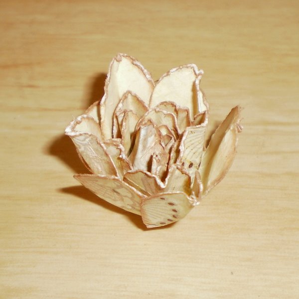 Beccy's Place Technique Class Open Roses