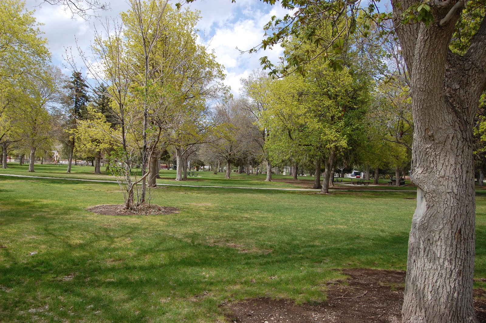 Go Picnic! Copperton Park