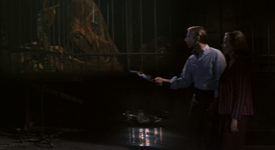 [Zoo+from+Hell+3.png]