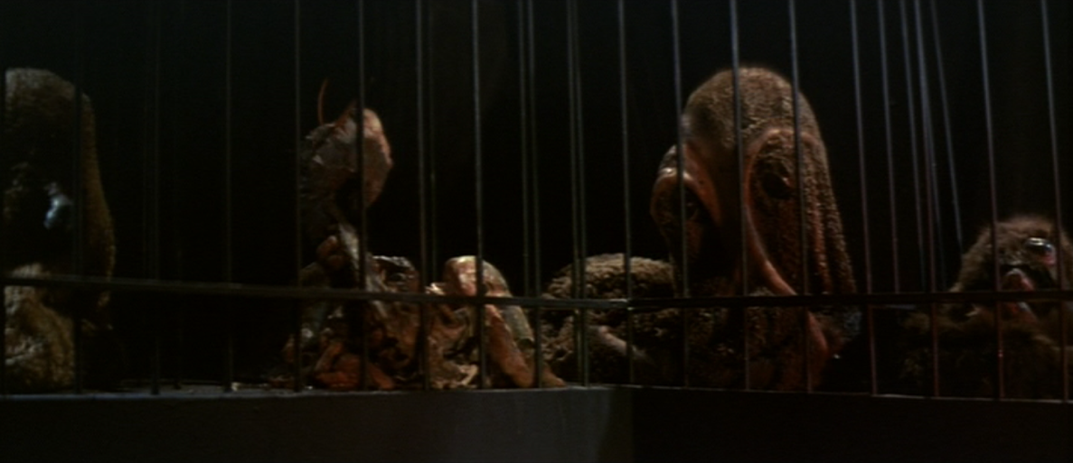 [Zoo+from+Hell+2.png]