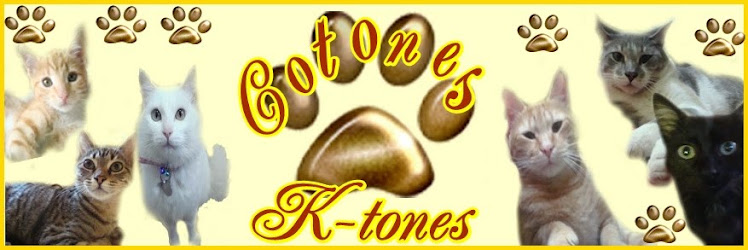 COTONES KTONES