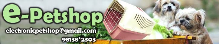 E-PetShop