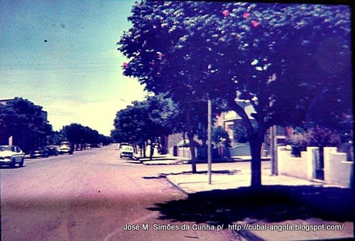 [cubal+P1010791.JPG]