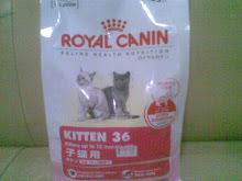 ROYAL CANIN KITTEN 36