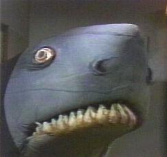 fish_shark_SNL.jpg