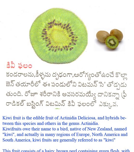ఆహారము ఆరోగ్యము , Food & Health (Telugu) కివీ ఫలము , Kivi Fruit