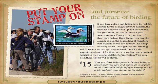 [Stamp+PSA+Birders.jpg]