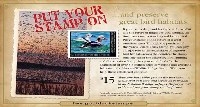 [Stamp+PSA+Sunset.jpg]