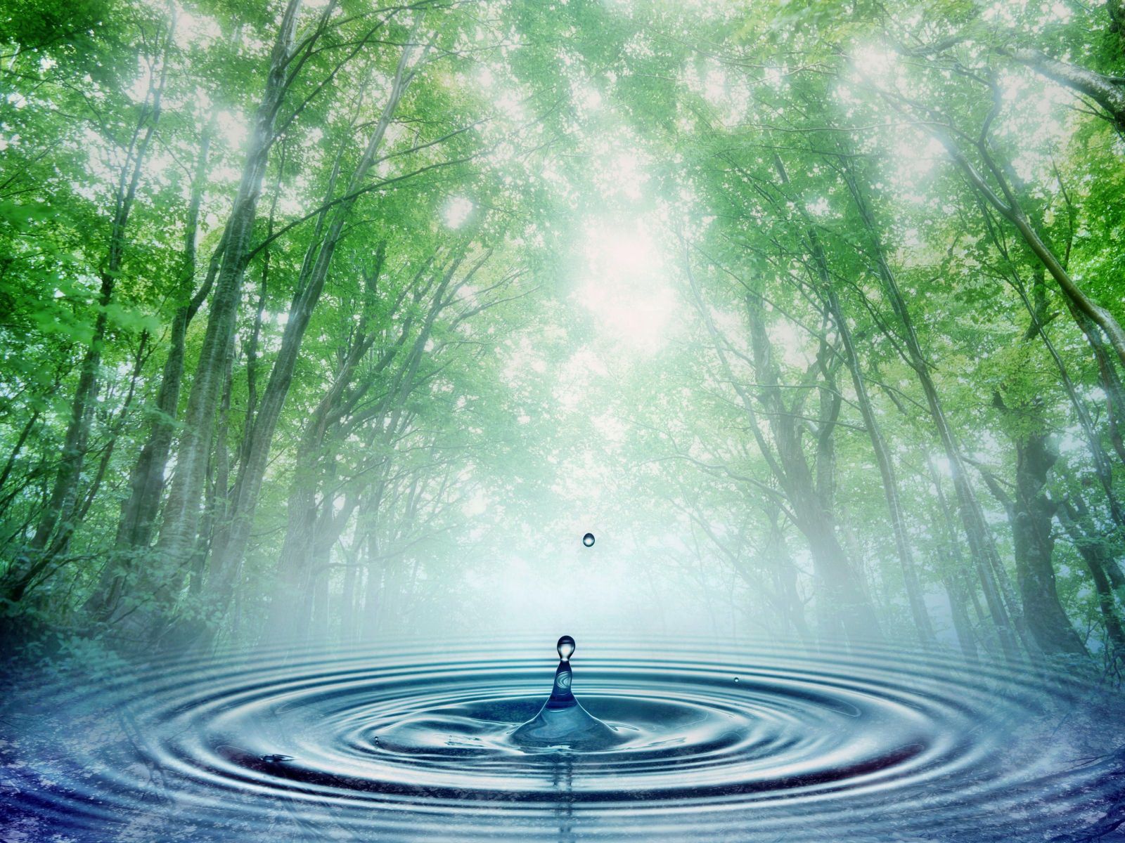http://4.bp.blogspot.com/_DPk-M4tF90E/Sw1wr_EtexI/AAAAAAAAAso/nYHHvSD4swM/s1600/gota-na-Agua_2294_1600x1200.jpg