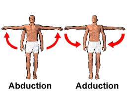 arm adduction