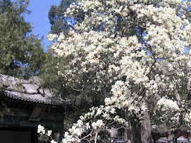 Palacio de Verano del Emperador- Beijing