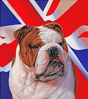         http://4.bp.blogspot.com/_DQklKMXP74U/S9nt8d5XJBI/AAAAAAAAEA8/Gxee0gttMKY/s1600/2804-200955-Rule+Britannia.jpg        