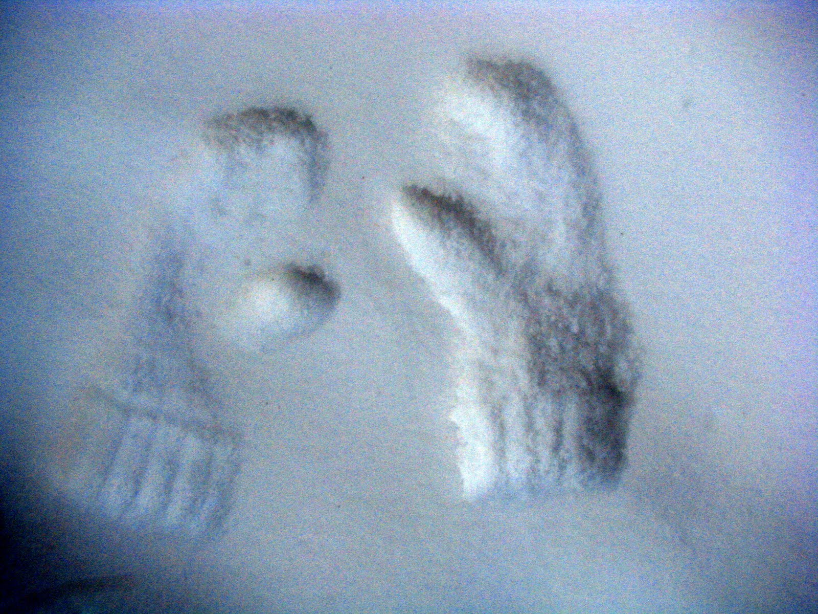 [IMG_0628.JPG]