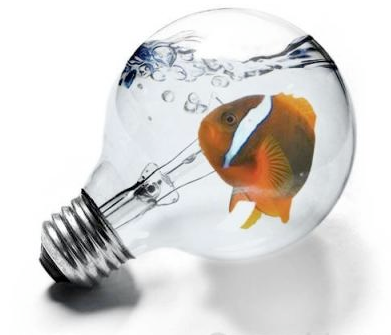como estimular la creatividad como estimular la creatividad
