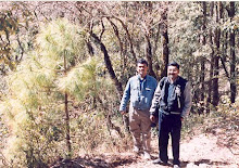 Jungle Trekking through Leopard's Ridge