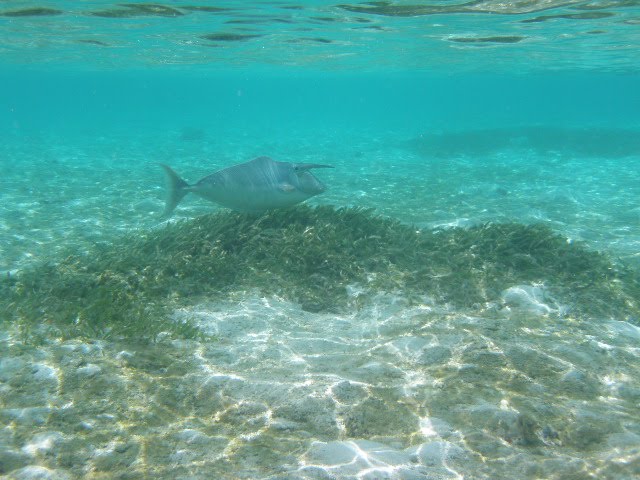 [PC090174.JPG]
