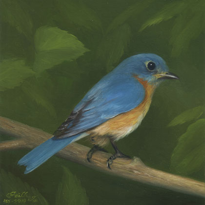 beaks and blooms magazine