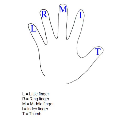 [fingersonhand.jpg]
