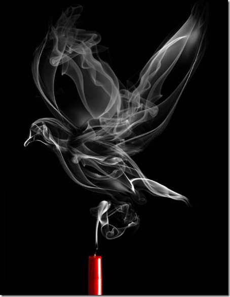 [smokeapigeon-thumb.jpg]