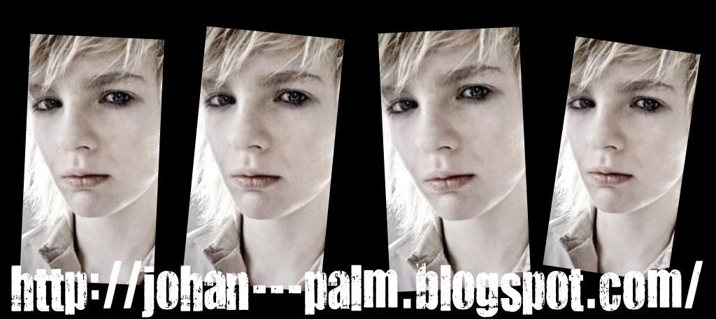 Johan Palm