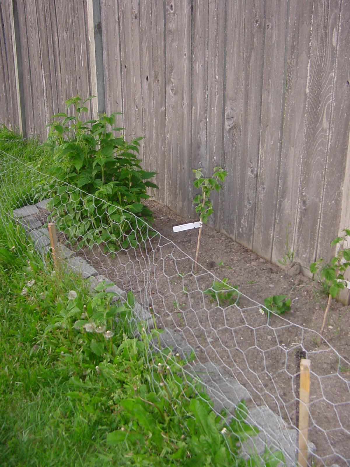 [DSC00092.JPG]