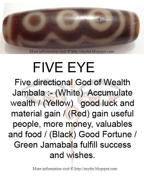 Five eye Dzi Bead